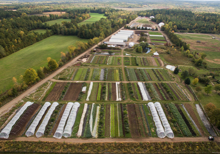 overhead of market garden1